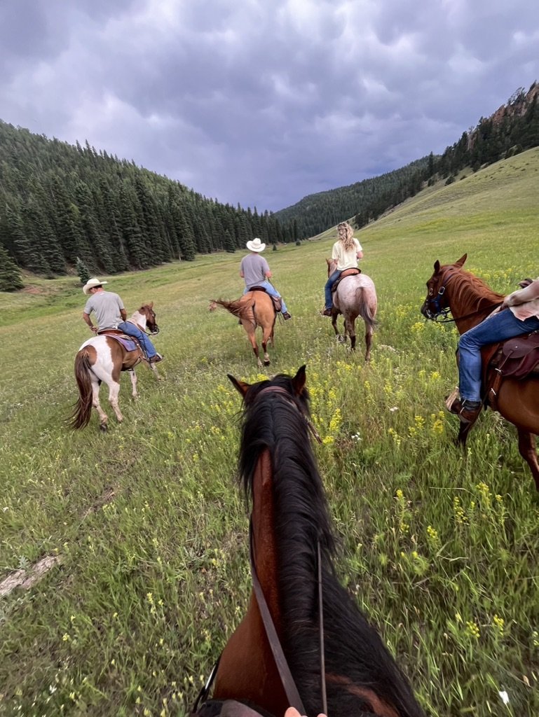 A string of riders heading up the meadow on a guided trail ride