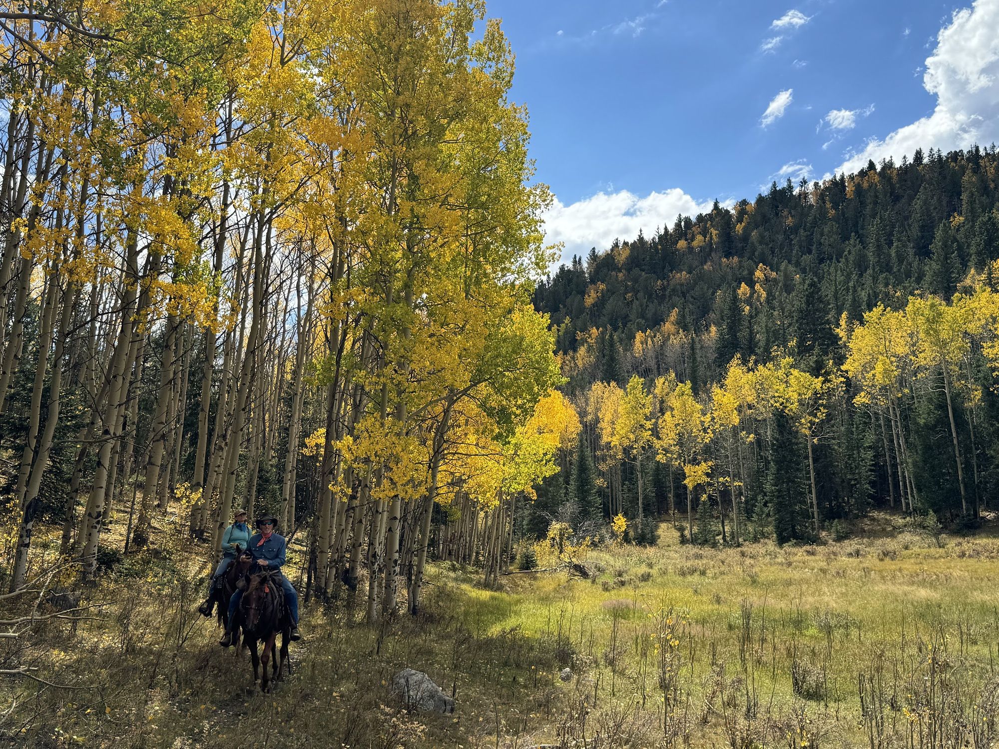Two riders in the fall aspens at Elk Glade